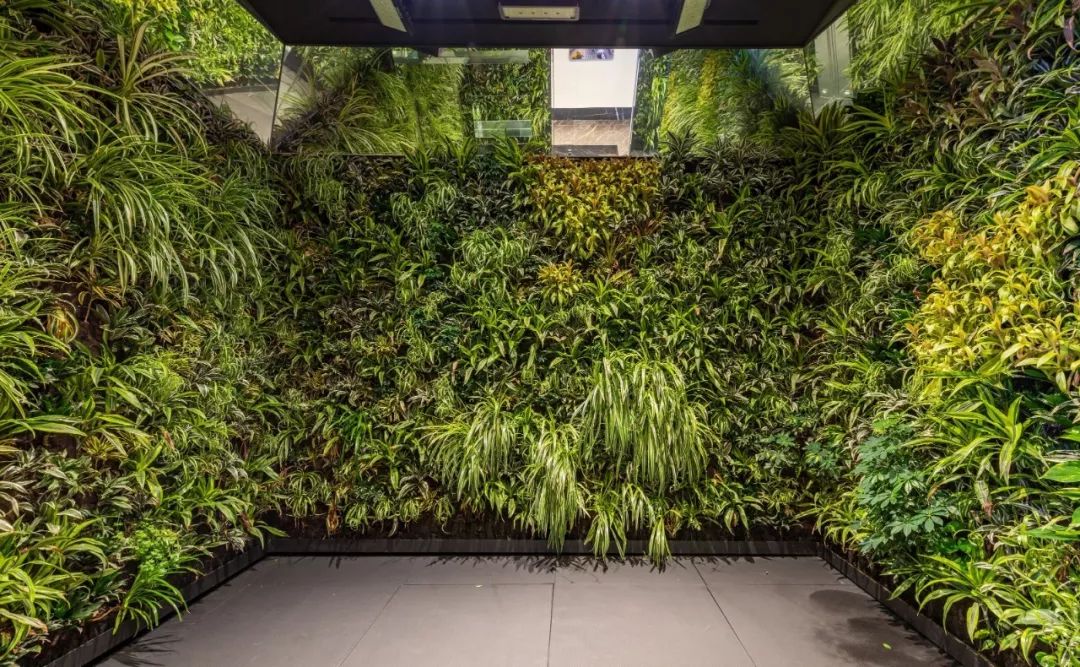 上千亿的顶级豪华别墅,最豪华的高科技别墅