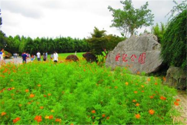 上海值得带孩子去玩的地方,上海适合8个月宝宝玩的地方