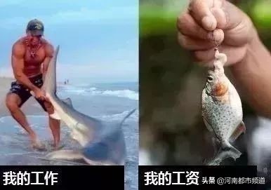 郑州月平均工资2023最新公布,郑州平均真实收入水平