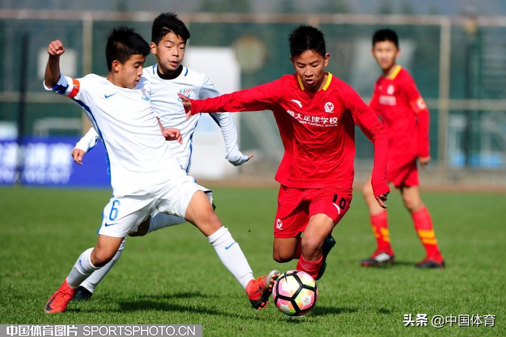 不止足球许家印和恒大慈善、纳税同样第一