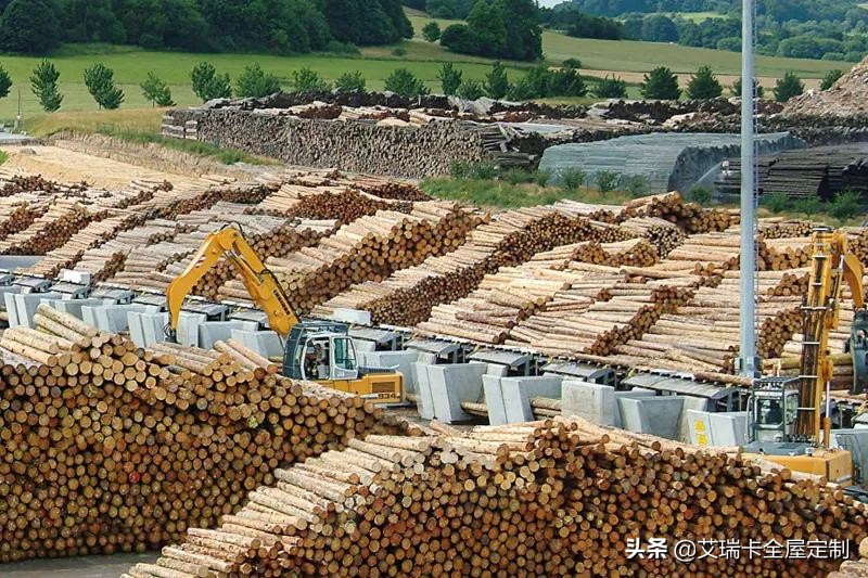 定制别样生活美学,定制更高品质的生活