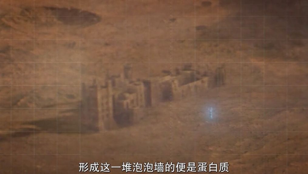 守望者剧情深度解析,守望者1-6季解说一口气看完