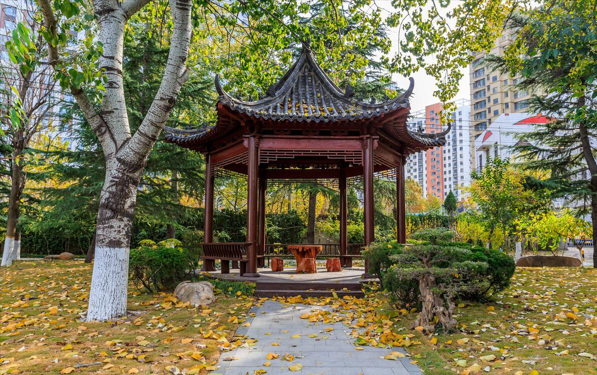 产后胎盘如何处置比较好,产后胎盘你们都怎么处置