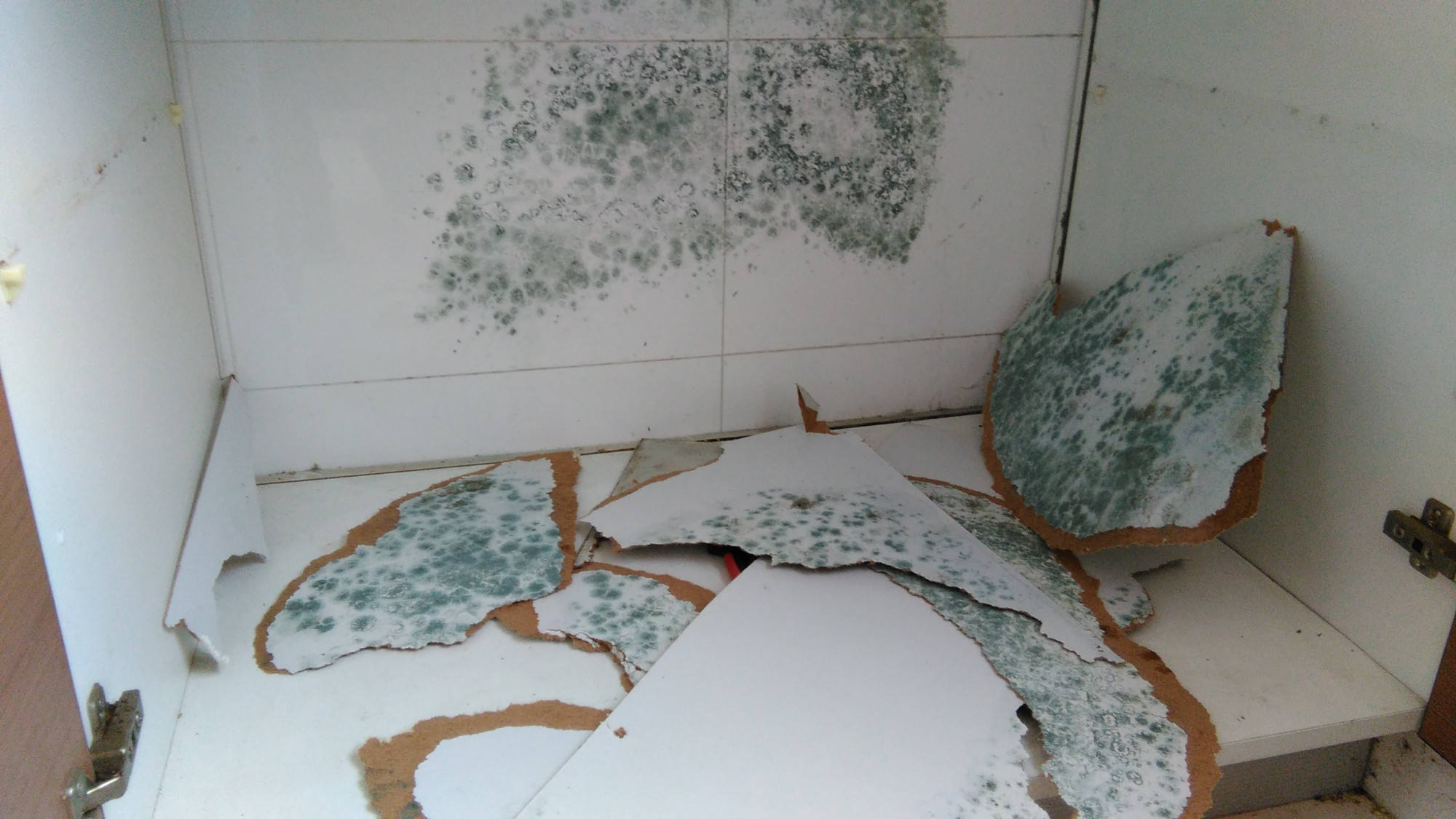 一楼房间太潮了有没有办法,一楼装修好了潮得很怎么补救