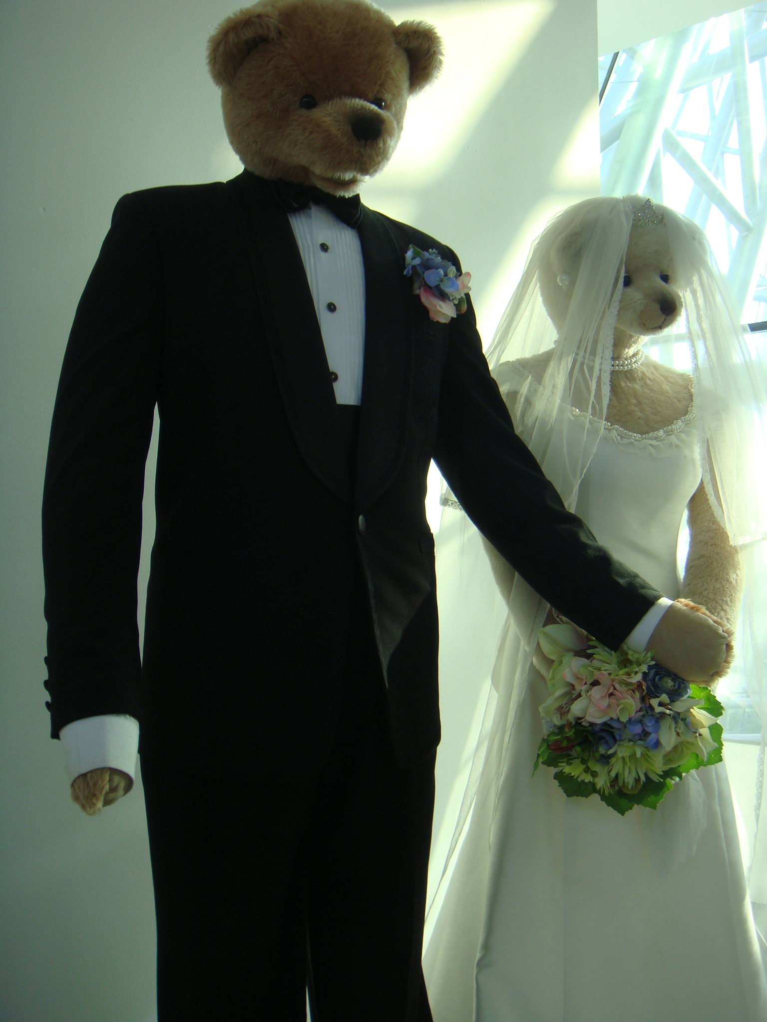 泰迪熊馆旅游攻略,泰迪熊博物馆济州岛旅行线