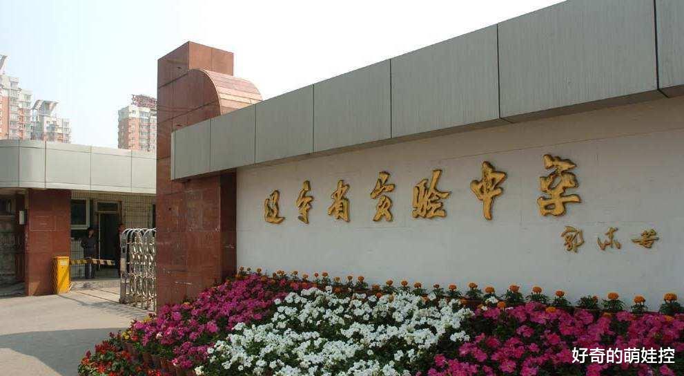 沈阳市最好的十大小学,沈阳市最好的小学前十排名