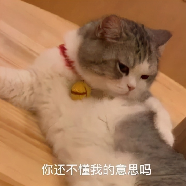 均价10块钱以内的粉底,好用的贵妇粉底