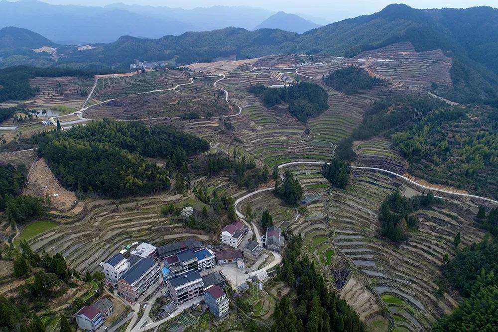 温州永嘉海拔最高的小村落，有座百年农场！很多人没听说过