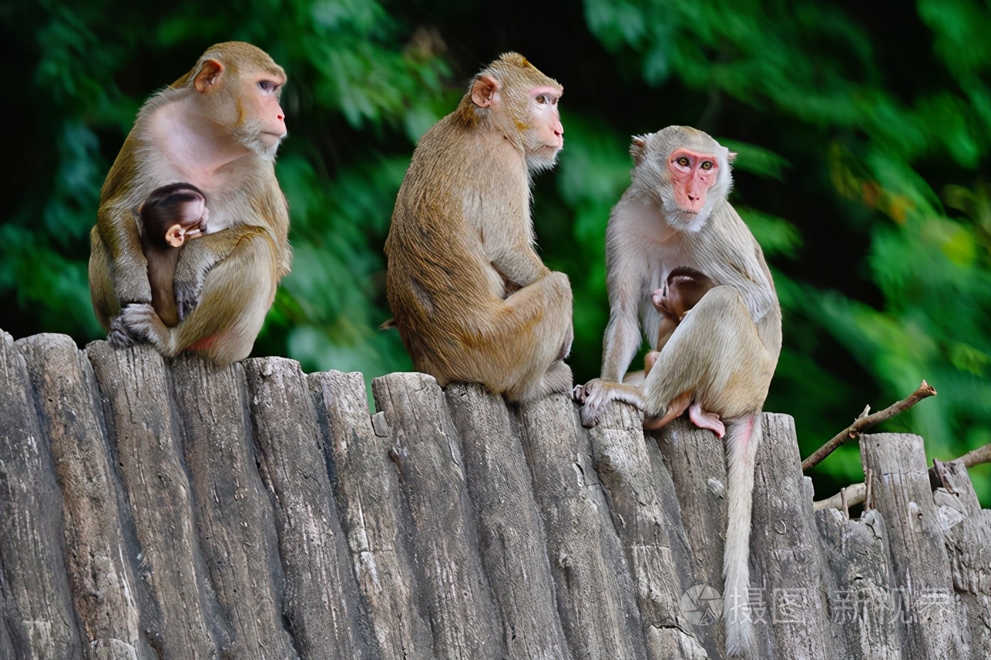 三峡哪里的风景最好攻略,三峡美景哪里最漂亮