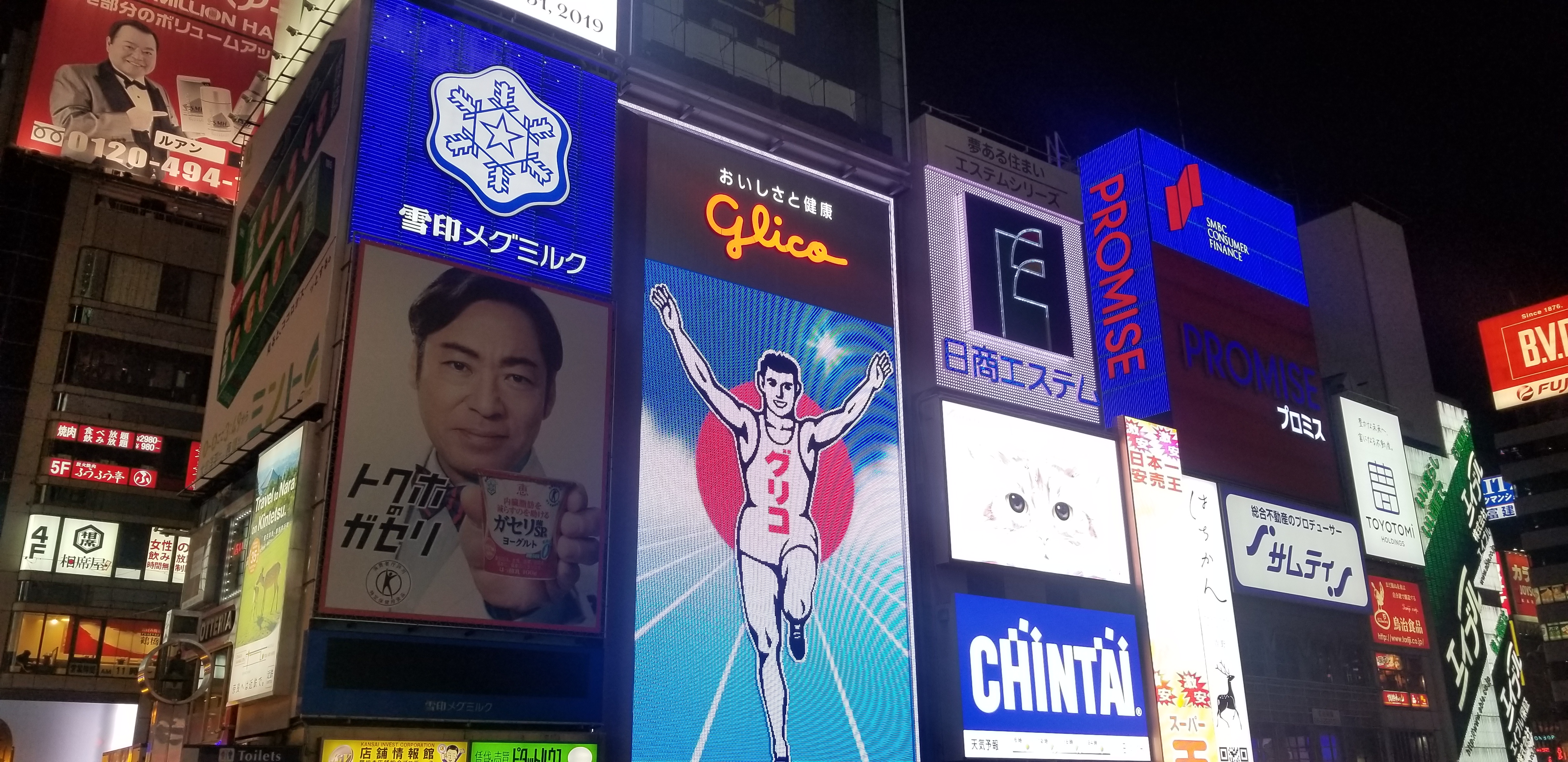 日本奈良自由行详细攻略,日本大阪京都自由行路线