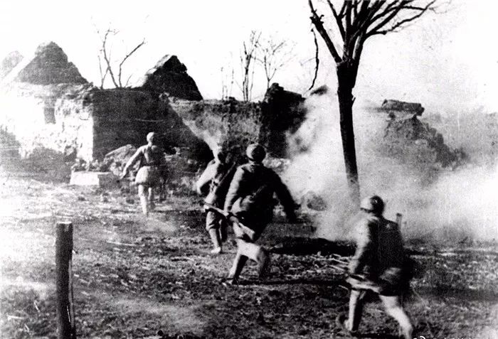 忠诚、机智、精武、迅猛！今天，给大家介绍一下这支连队！