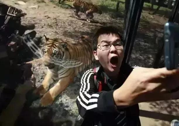 昆明玻璃栈道有哪些,昆明景点之玻璃栈道