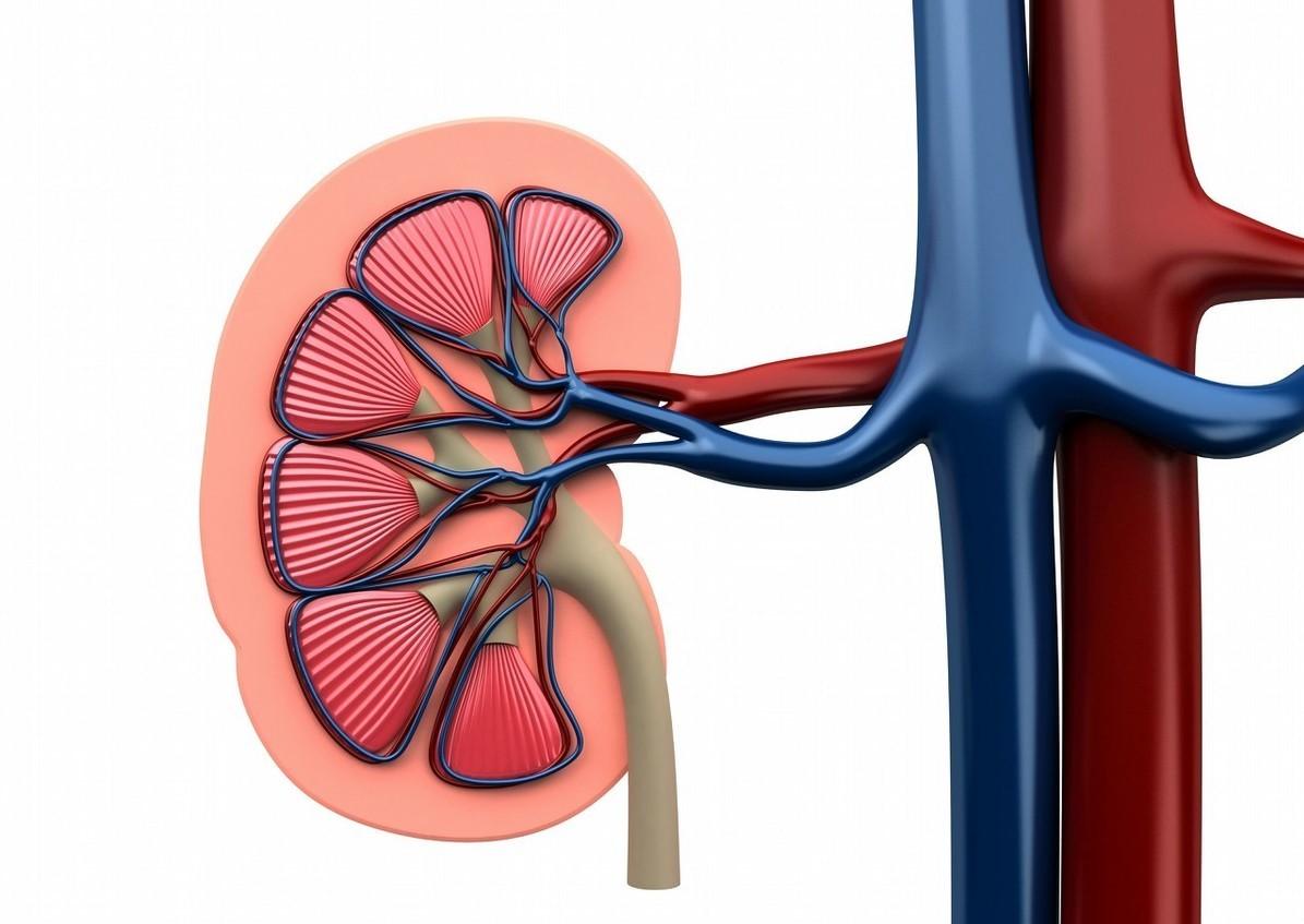 体内湿气重还能多喝水吗,湿气重的人能多喝茶吗