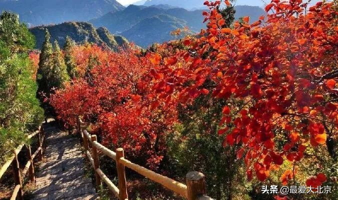 香山周末好去处,香山夏天去好玩吗