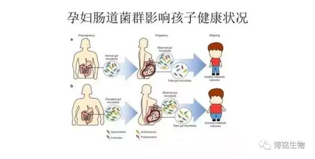 目前治疗二型糖尿病最前沿的方法,全世界治疗2型糖尿病最新方案