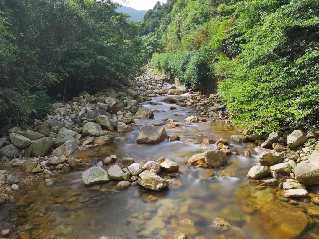 贺州姑婆山景区国家森林公园,贺州姑婆山森林公园路线