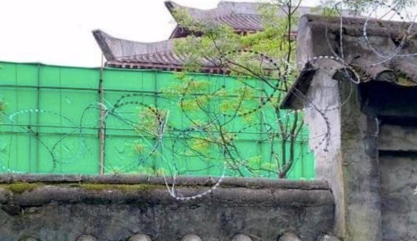 杨幂被偷包的影视剧,杨幂被偷