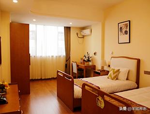 广州市天河区岭南养生谷养老院,广州颐寿养老院一览表