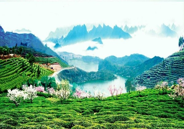 下一个假期去哪里？那些影视剧中宛如仙境的地方，不可以错过