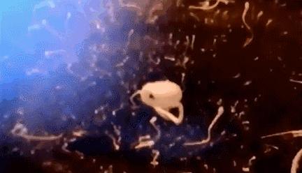 每一个都那么拼命前进，我们还好意思去选择性别吗？