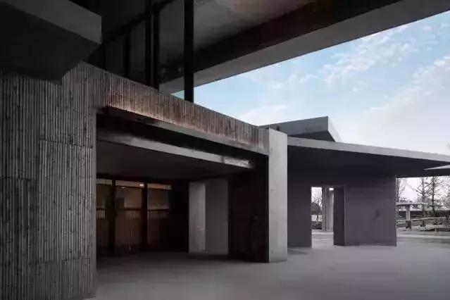 最美银杏秋景自驾攻略,杭州银杏树旅游攻略