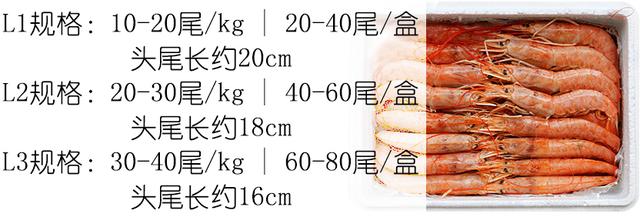 硬壳罗氏虾和软壳罗氏虾的区别,罗氏虾鳌虾甜虾有什么不同