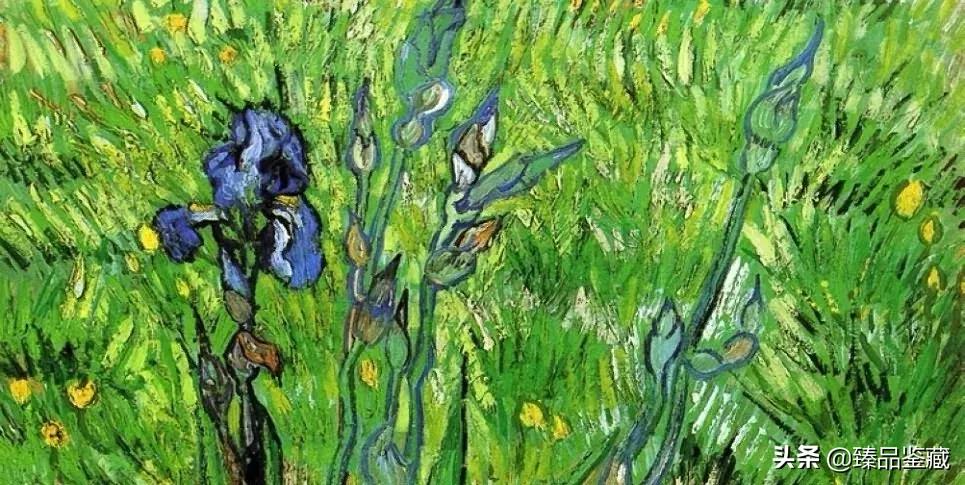 梵高在薄情的世界深情的活着,梵高是一个孤独的疯子
