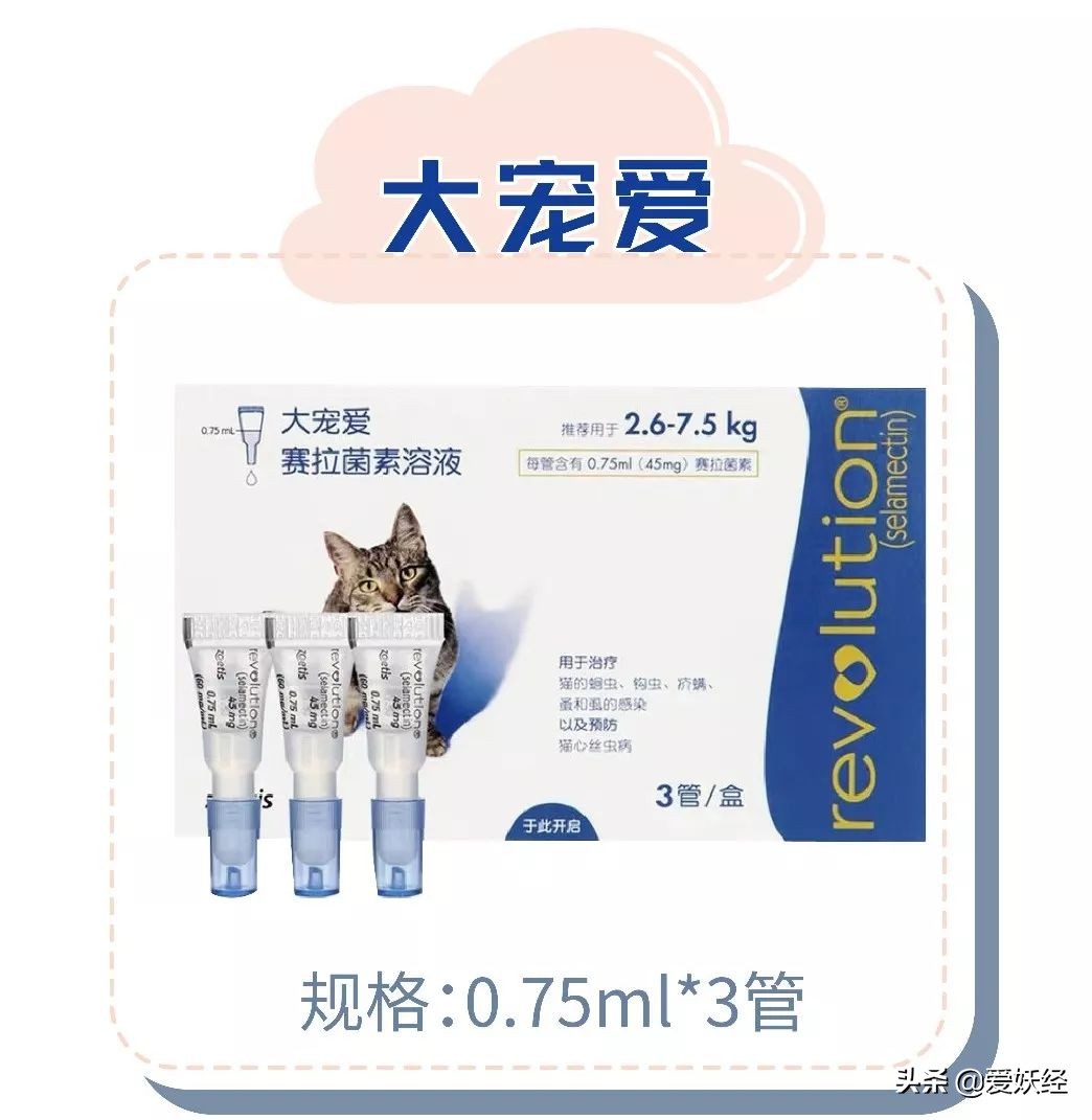 别说老狐狸不宠粉,你们要的猫用驱虫药测评!来喽