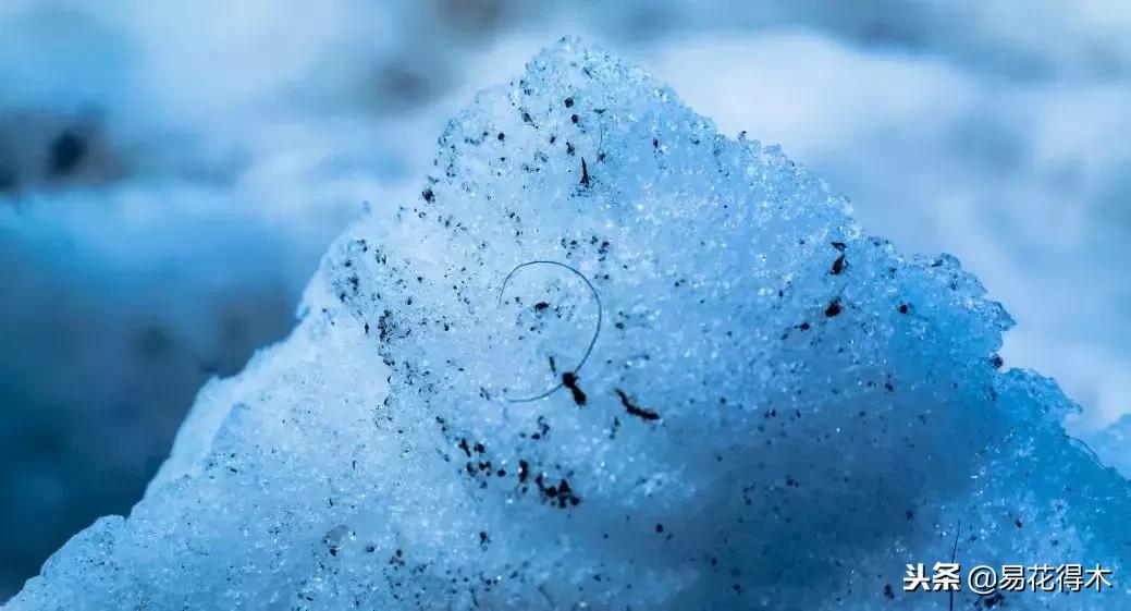 储存雪水浇花好不好,雪水浇花的好处及注意事项