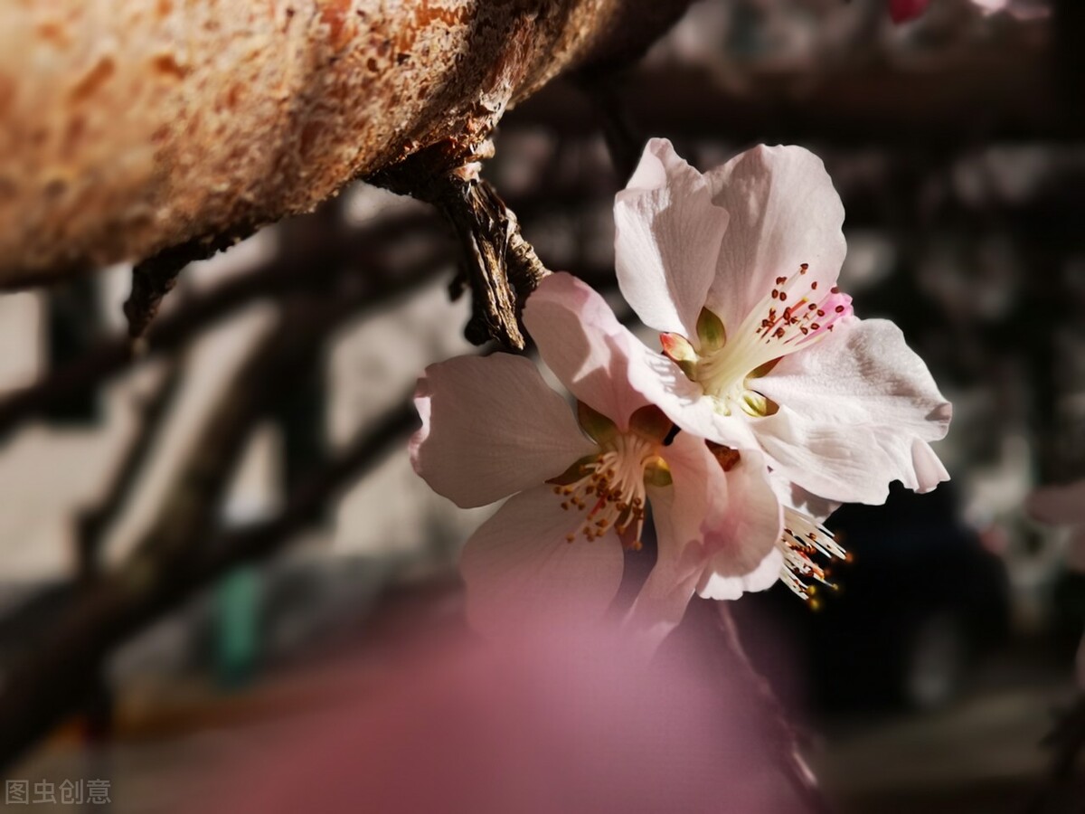 当金牛座惹我生气时我该怎么办,金牛座不想跟你继续相处的表现