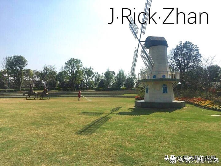 适合北方庭院种植的低矮草坪,家庭庭院怎样混搭种植草坪和蔬菜