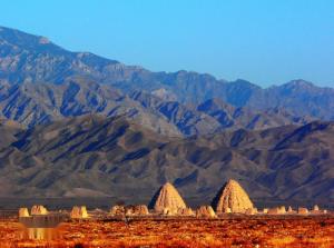 西夏区网络资质代办概况,西夏区网络税务代理概况