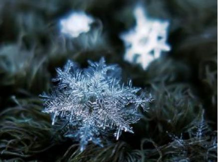 管恩锋最新品读好诗词,管恩锋