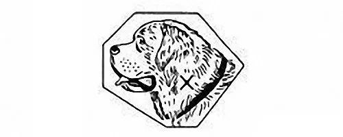 名表知识,名表入门基础知识