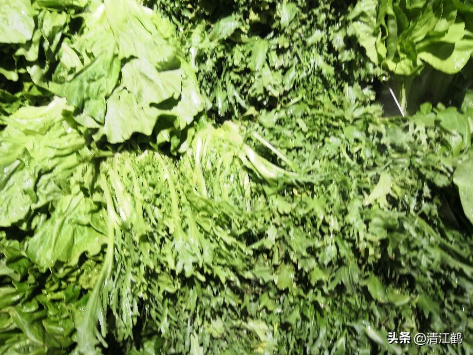 蜗牛吃菜用什么药消灭它,蔬菜上蜗牛用什么药才能杀灭