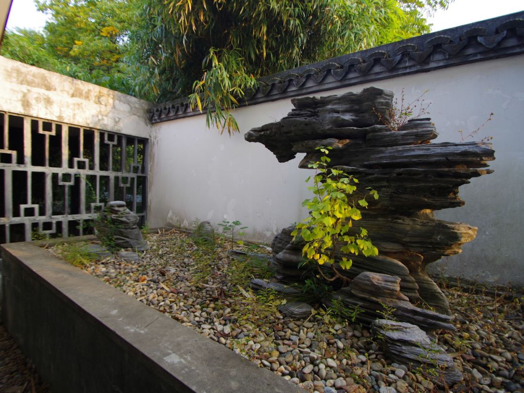 上海盆景博物馆:咫尺天地竟蕴含了整个植物宇宙