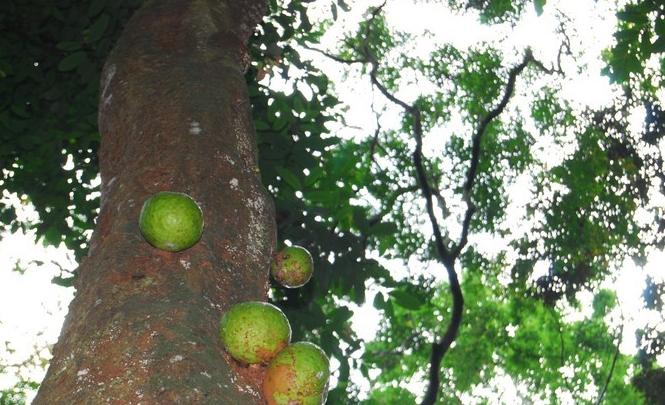 科特迪瓦哪里的海边好玩,科特迪瓦象牙海岸