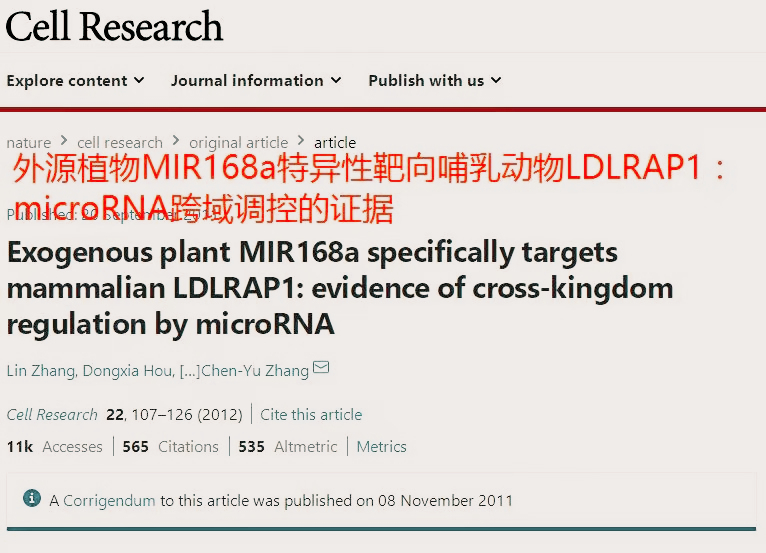 肾虚吃猪腰炖汤的功效,肾虚吃猪腰子补得快吗