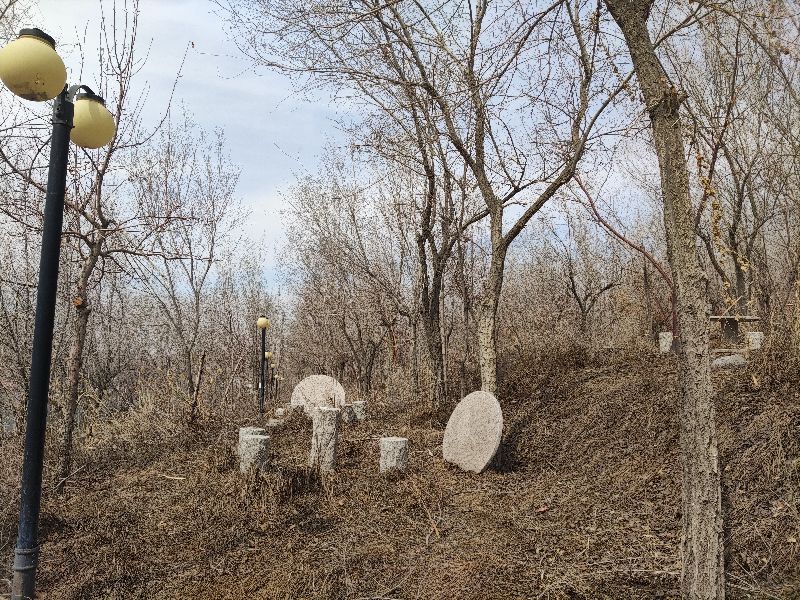 乌鲁木齐免费玩的地方运动场地,乌鲁木齐游玩适合烧烤的地方