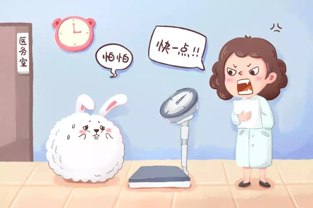 二年级看图写话万能范文,看图写话万能开头范文