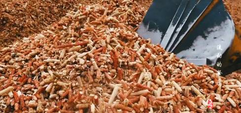 玉米芯一亩能赚多少钱,做玉米芯赚钱吗