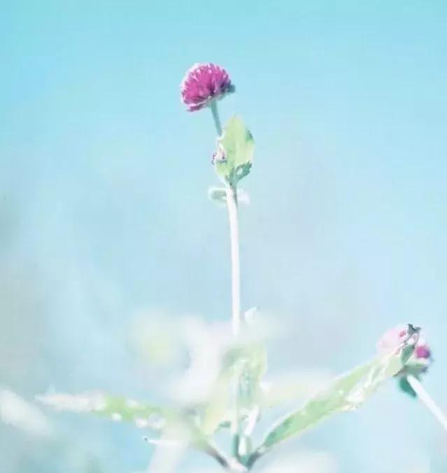 便宜好用老膏药,腰疼贴啥牌子膏药好便宜又好用