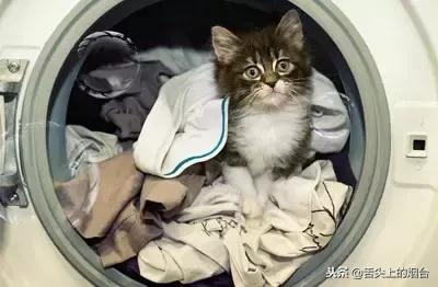 原来洗羽绒服可以这么简单，推荐收藏学习