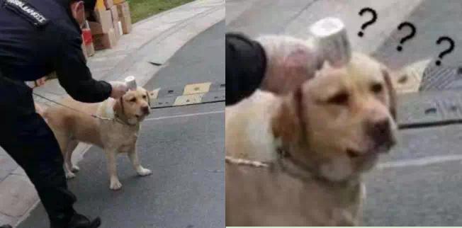 体温枪老是显示记忆温度怎么回事,体温枪量人体每个部位不一样温度