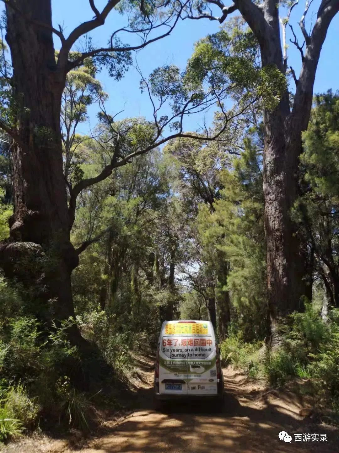 涓浗浜哄湪婢虫床鑷┚,涓浗灏忎紮鍘绘境澶у埄浜氳嚜椹炬父