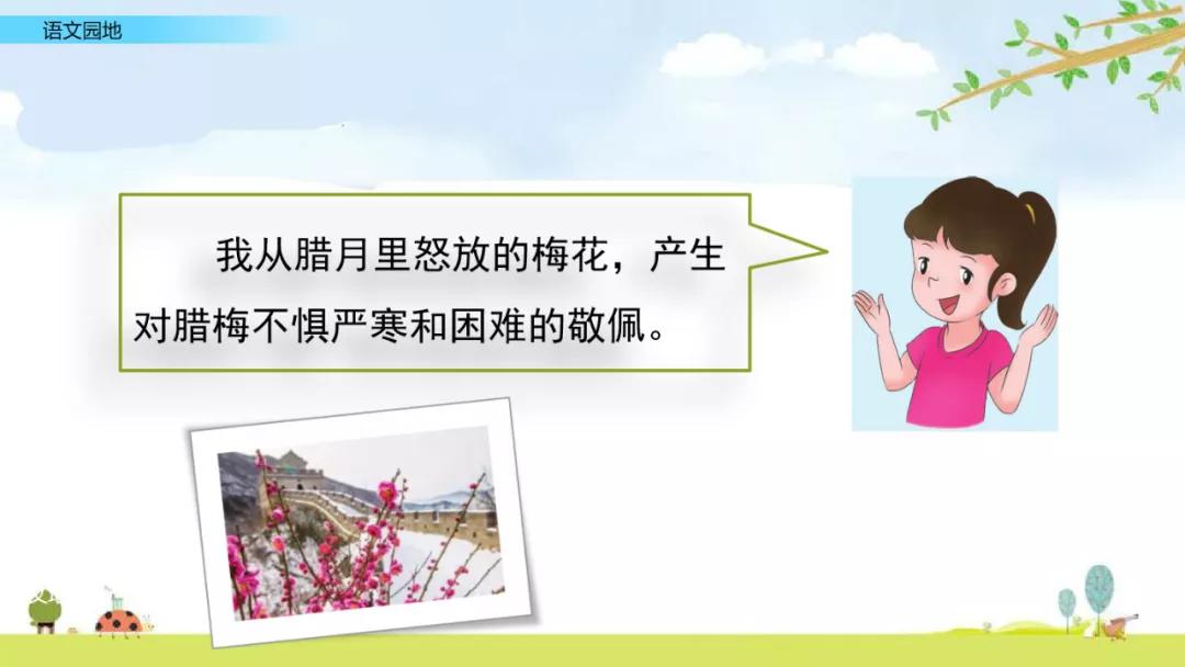 五年级上册语文园地八讲解课件ppt,部编五年级语文上册必考知识点