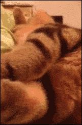 开心一刻:妹子身上的彩绘很逼真