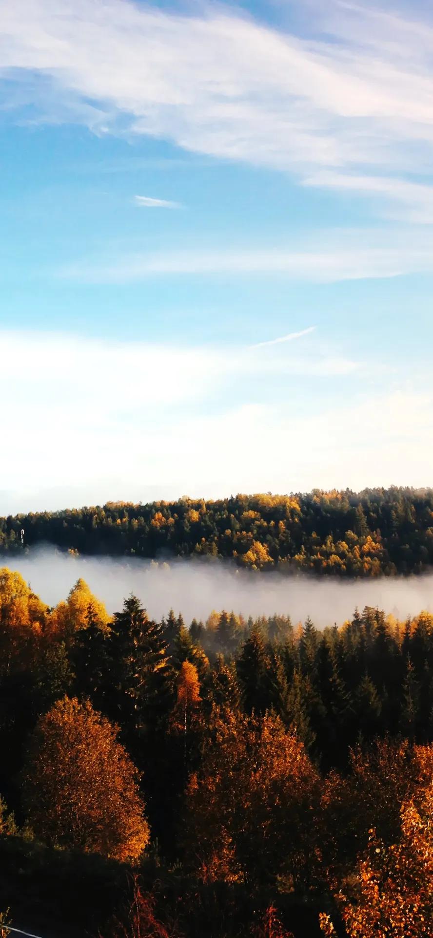 livephoto壁纸风景,livephoto壁纸动态效果不可用