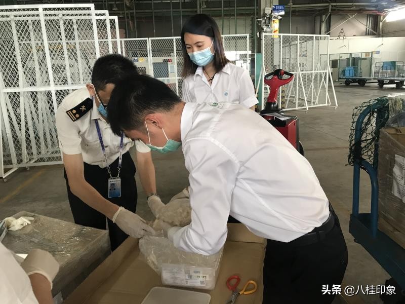 几经波折，马来西亚200公斤净燕抵达广西