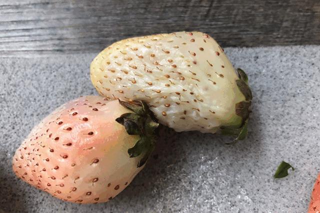 一下子吃了30颗草莓,吃了半斤草莓